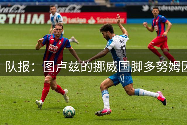 队报：图卢兹的挪威国脚多努姆因母亲离世缺阵